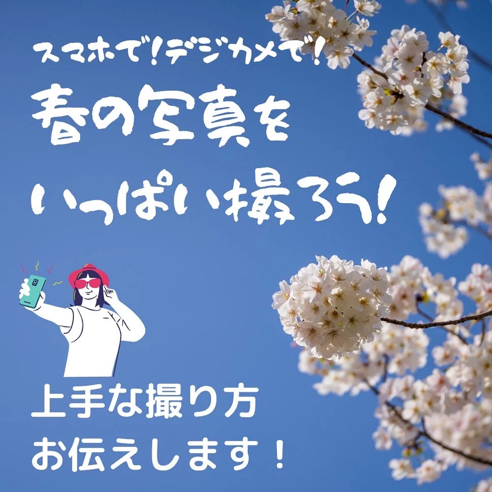 撮影で悩まない スマホで上手にお花見写真
