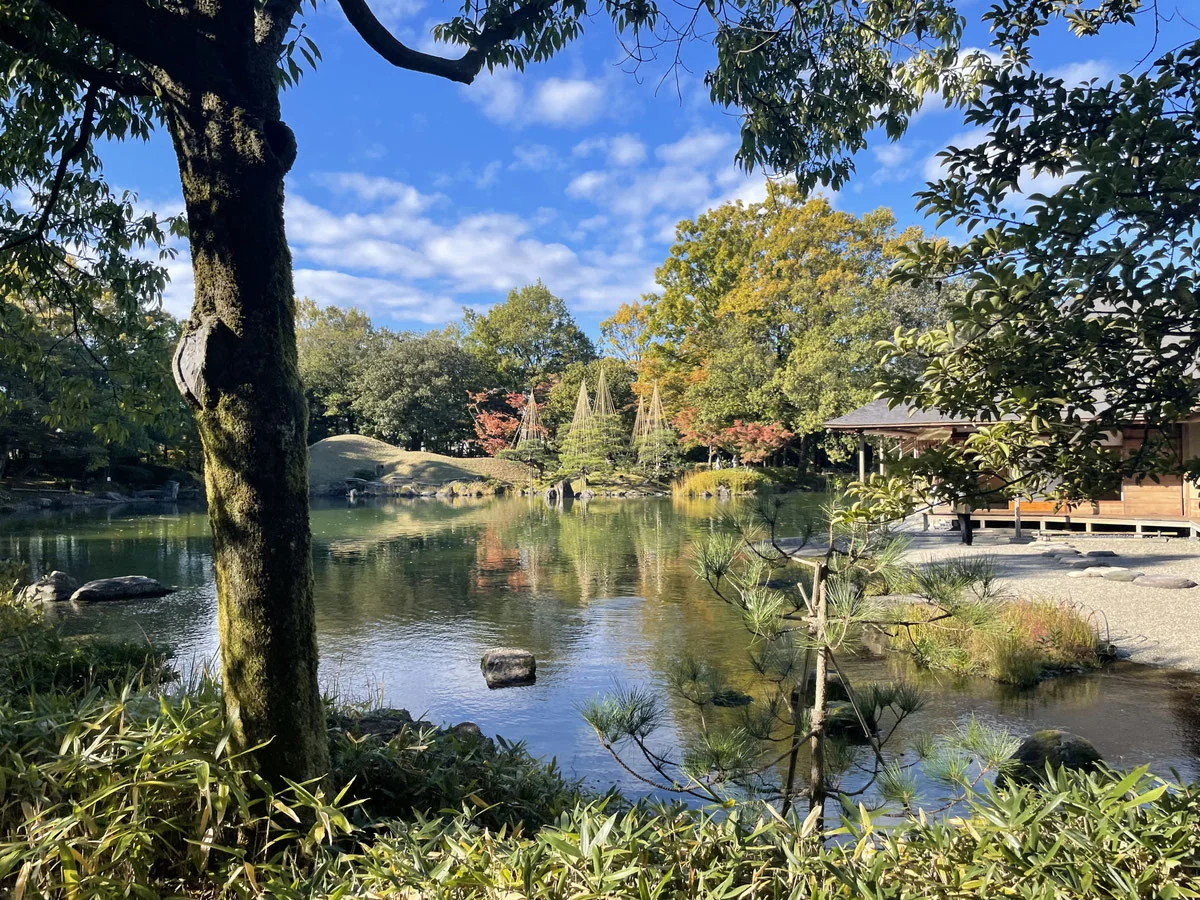 スマホで紅葉をきれいに撮る7つのコツ