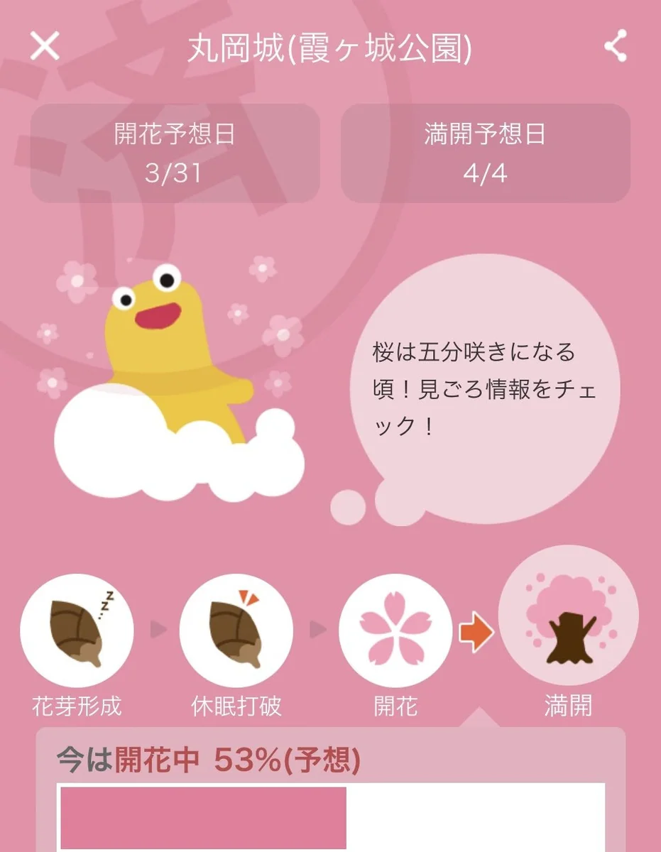 桜の季節見ごろ情報をゲットしよう